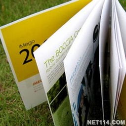 寧波樣本設(shè)計(jì)的藝術(shù)與商業(yè)價(jià)值——專業(yè)樣本畫冊(cè)設(shè)計(jì)公司與廣告發(fā)布服務(wù)的深度解析